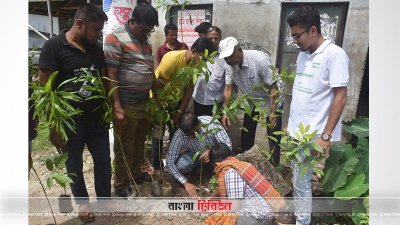 ১৯৭৫টি গাছ লাগিয়ে বঙ্গবন্ধুকে স্মরণ