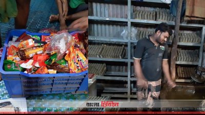 ভ্রাম্যমাণ আদালতের অভিযান