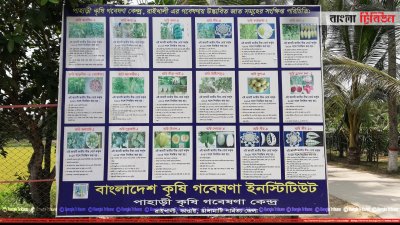 রাইখালী কৃষি গবেষণা ইনস্টিটিউট