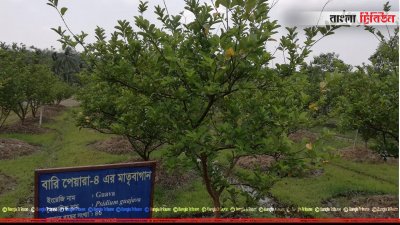 রাইখালী কৃষি গবেষণা ইনস্টিটিউট