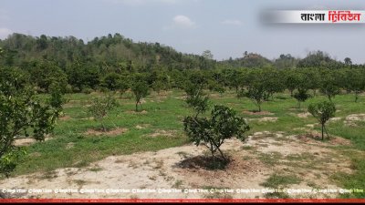 রাইখালী কৃষি গবেষণা ইনস্টিটিউট