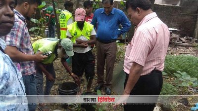 দক্ষিণের তুলনায় তিন গুণ বেশি এডিস মশার লার্ভা উপযোগী পরিবেশ উত্তরে