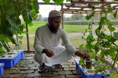 মাটি ছাড়া সবজি চাষ