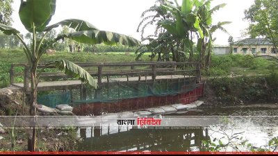 খালের বিভিন্ন অংশে বাধ দিয়ে মাছ চাষ করা হচ্ছে