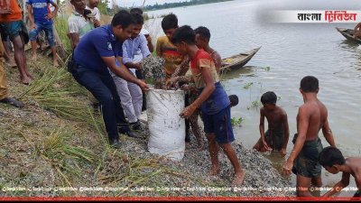 বিলে ছেঁড়া টাকা, পৌরসভার তিন কর্মকর্তাকে শোকজ