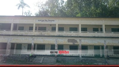 দুর্গাপুর উচ্চ বিদ্যালয় (ছবি&ndash; প্রতিনিধি)
