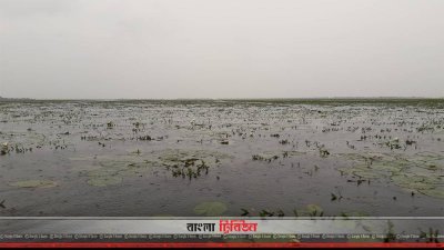 সুনামগঞ্জের দিরাই হাওর