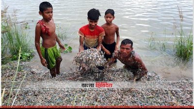 বাংলাদেশ ব্যাংকের বাতিল নোটের টুকরো