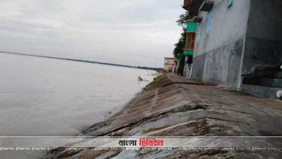 পাবনায় পদ্মার পানি বিপদসীমা ছুঁইছুঁই, তলিয়ে গেছে ফসলি জমি