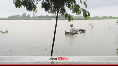 পদ্মায় পানি বেড়ে প্লাবিত হচ্ছে নাটোরের নিম্নাঞ্চল