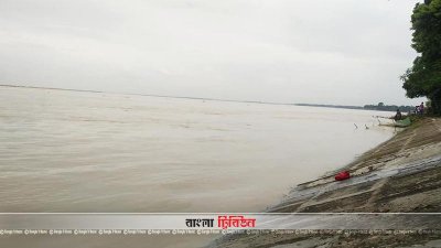 পাবনায় পদ্মার পানি বিপদসীমা ছুঁইছুঁই, তলিয়ে গেছে ফসলি জমি