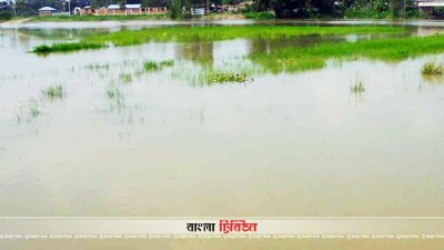 প্লাবিত অঞ্চল