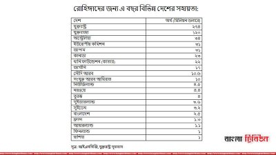 এ বছর রোহিঙ্গাদের দেওয়া সহায়তার পরিমাণ 
