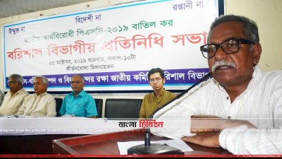 বক্তব্য রাখছেন আনু মুহাম্মদ (ছবি&ndash; প্রতিনিধি)