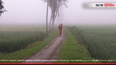 গ্রামাঞ্চলে কুয়াশা বেশি পড়ছে