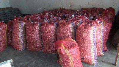 পুরনো এলসির বিপরীতে আসা পেঁয়াজ