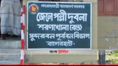 শুঁটকি প্রক্রিয়াকরণে জেলে পল্লি দুবলা