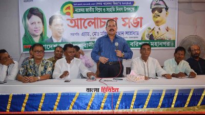বক্তব্য রাখছেন মজিবর রহমান সরোয়ার (ছবি– প্রতিনিধি)