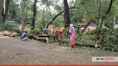 ঝড়ে রাস্তায় পড়ে থাকা গাছ সড়ানো হচ্ছে