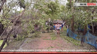 ঝড়ে রাস্তার ওপর গাছ ভেঙে পড়েছে 