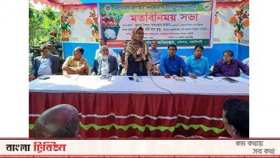 কৃষকদের আকৃষ্ট করছে বিষমুক্ত সবজি উৎপাদন পদ্ধতি