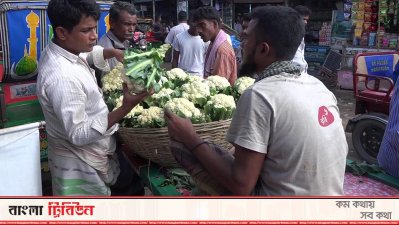 কৃষকদের আকৃষ্ট করছে বিষমুক্ত সবজি উৎপাদন পদ্ধতি