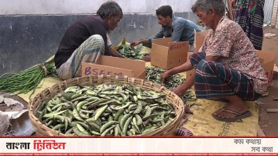 কৃষকদের আকৃষ্ট করছে বিষমুক্ত সবজি উৎপাদন পদ্ধতি