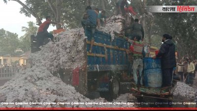 আগুনে পুড়ে যাওয়া তুলা