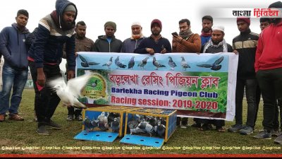 কবুতরের দৌড় প্রতিযোগিতা