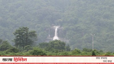 কাঁটাতারের ওপাশে শাহ আরেফিন ঝরনা (ছবি: আবু বকর)