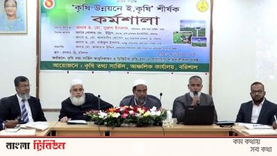&lsquo;কৃষি উন্নয়নে ই-কৃষি&rsquo; শীর্ষক কর্মশালা