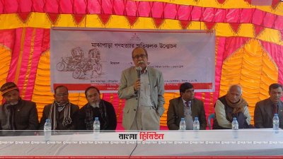 স্বাধীনতা যুদ্ধে ৫ লাখ নারী ধর্ষিত হয়: মুনতাসীর মামুন