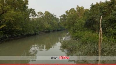 ফাইল ছবি