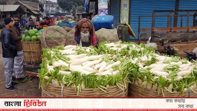 ভরা মৌসুমেও জমেনি বারীনগরের সবজির হাট