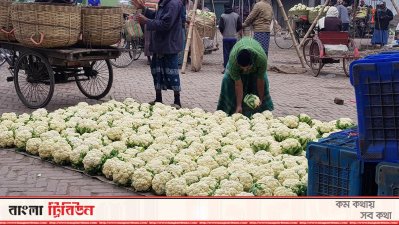 ভরা মৌসুমেও জমেনি বারীনগরের সবজির হাট