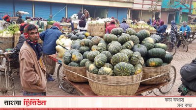 ভরা মৌসুমেও জমেনি বারীনগরের সবজির হাট