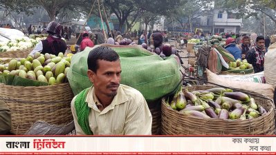 ভরা মৌসুমেও জমেনি বারীনগরের সবজির হাট