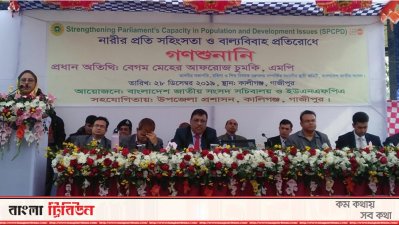 গণশুনানির অনুষ্ঠানে বক্তব্য দেন মেহের আফরোজ চুমকি