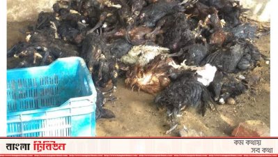 বাইশারী বাজারে আগুনে পুড়লো তিন দোকান
