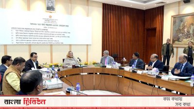 জাতীয় অর্থনৈতিক পরিষদের নির্বাহী কমিটির সভা