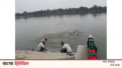 অতিথি পাখি শূন্য নীলসাগর দীঘি