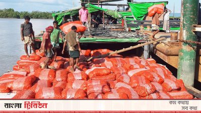 টেকনাফ স্থলবন্দর দিয়ে পেঁয়াজ আমদানি কমেছে
