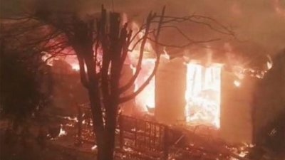 অস্ট্রেলিয়ার দাবানলে পুড়েছে প্রায় ২৫০ বাড়ি