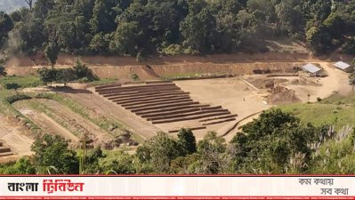 অবৈধভাবে ইটভাটা নির্মাণ, সাবেক চেয়ারম্যানের ১০ বছরের জেল