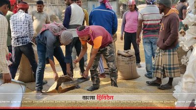 খাদ্য গুদামে ধান বিক্রি জন্য মাপা হচ্ছে 