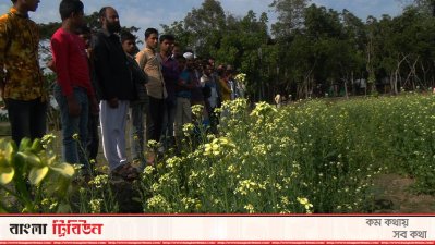 কাদিরের ক্ষেত দেখতে মানুষের ভিড়