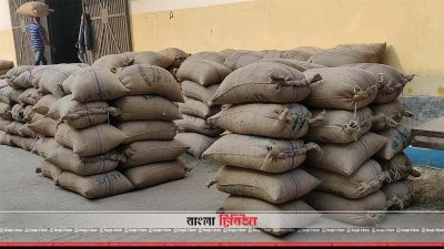 খাদ্য গুদামে আমন ধান সংগ্রহ করা হচ্ছে