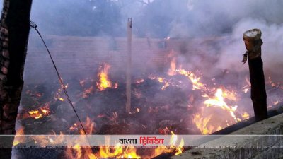 ছাগলের খামারে অগ্নিকাণ্ড