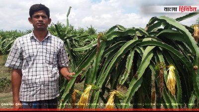 ড্রাগন বাগানে কবিরুস