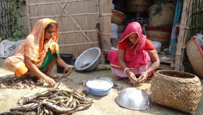 মাছ কাটছেন নারী শ্রমিকরা